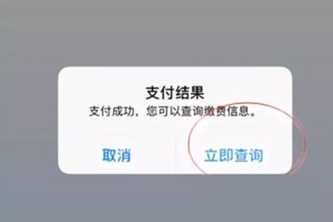 支付寶交醫(yī)保費怎么交